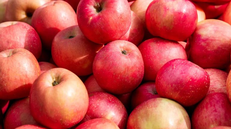 9 fruta që kanë më shumë fibër se një mollë