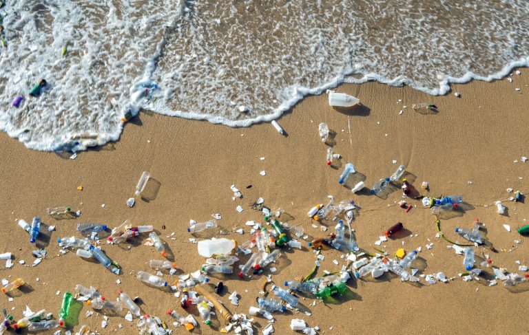 Tonelata mbeturinash mbulojnë Velipojën: Alarm për mjedisin dhe turizmin