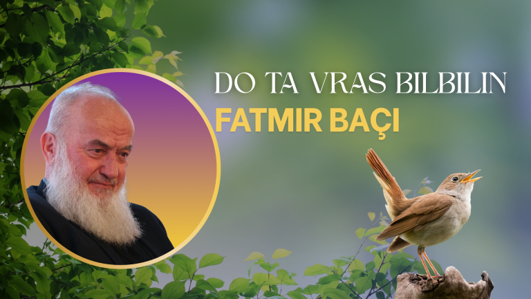 Fatmir Baçi – DO TA VRAS BILBILIN Fatmir Baçi - DO TA VRAS BILBILIN